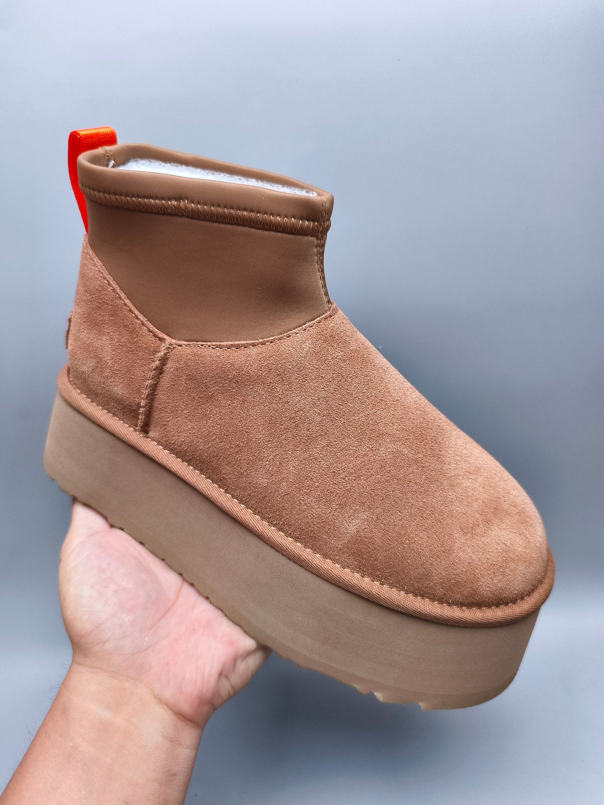 Chestnut Platform Elastic Low-Top Casual Shoes — New Arrival | In Stock