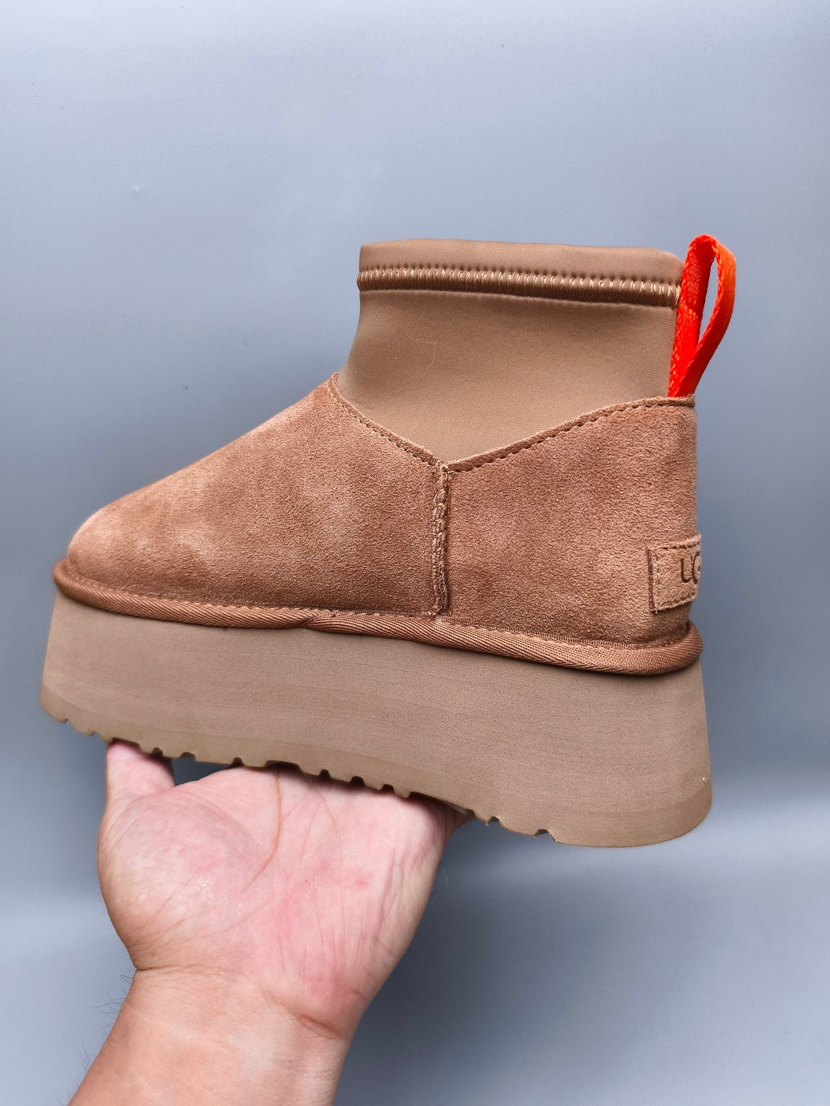 Chestnut Platform Elastic Low-Top Casual Shoes — New Arrival | In Stock