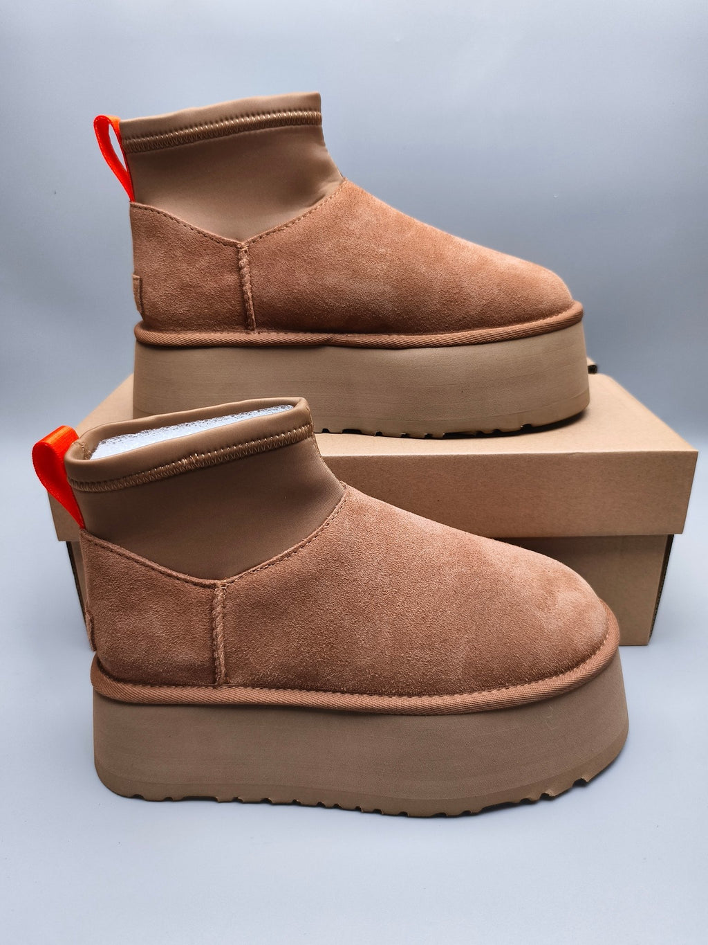 Chestnut Platform Elastic Low-Top Casual Shoes — New Arrival | In Stock