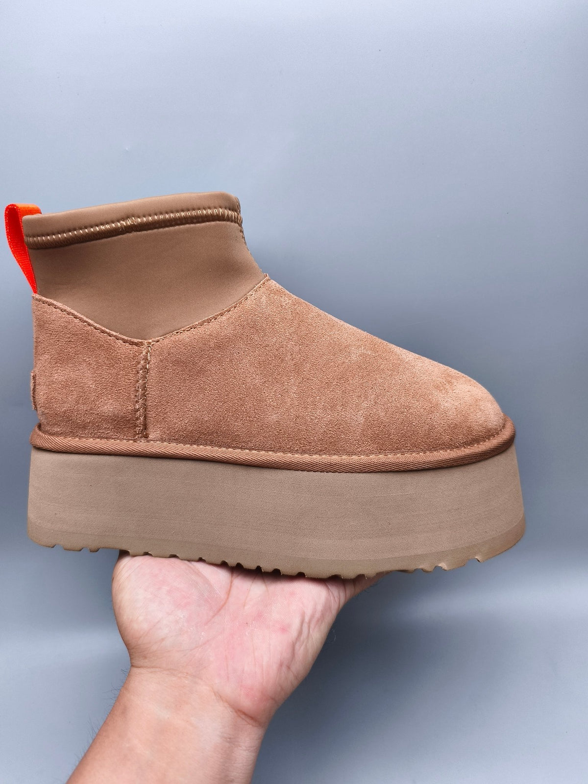 Chestnut Platform Elastic Low-Top Casual Shoes — New Arrival | In Stock