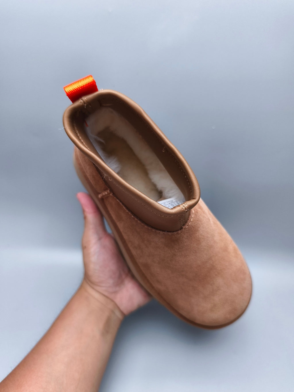 Chestnut Platform Elastic Low-Top Casual Shoes — New Arrival | In Stock